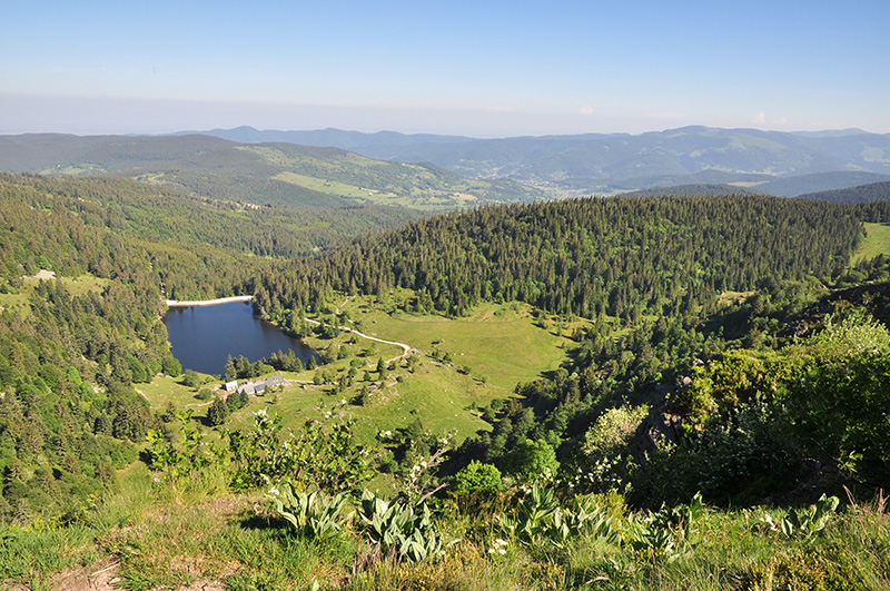 chaine des Vosges route des cretes