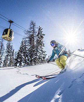 chalet la rosiere 1