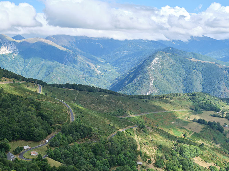 col aspin