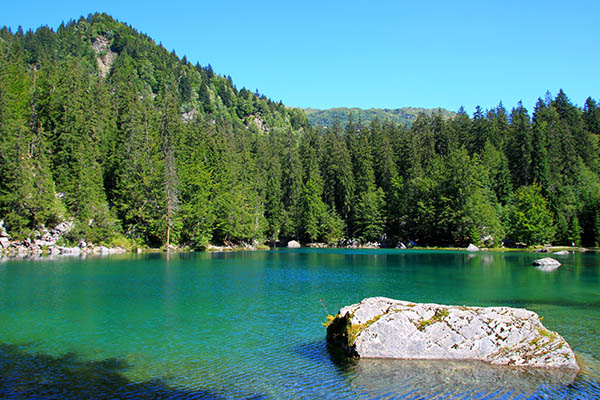 lac vert passy