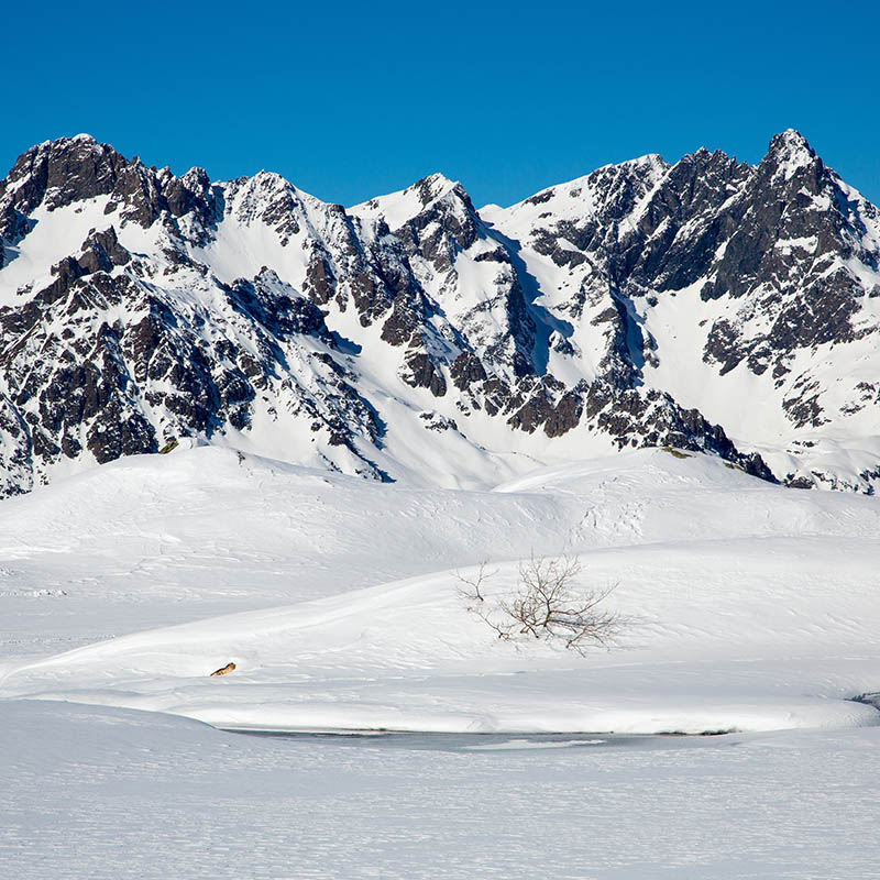 station de ski familiale Oz en Oisans