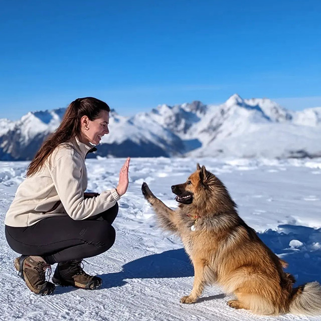 location vacances animaux acceptes